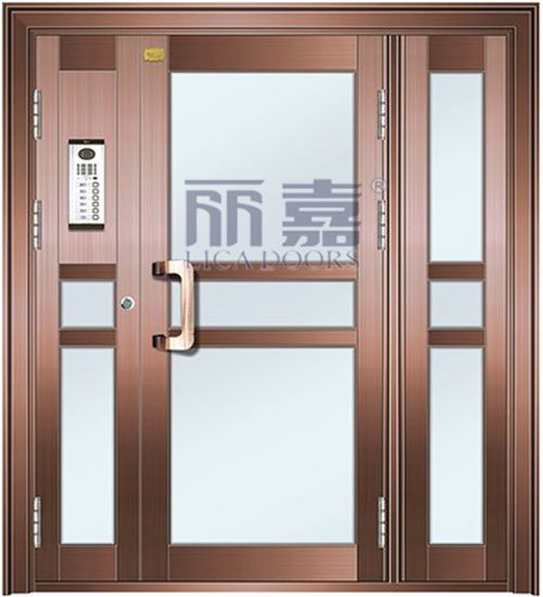 订购不锈钢楼宇门 不锈钢楼宇门 丽嘉门业工艺精湛 查看